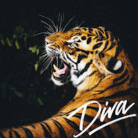 Burak Bulut - Diva mp3 скачать